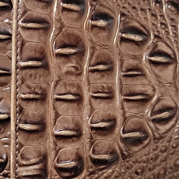 BRAHMIN - Picture 3 of 16